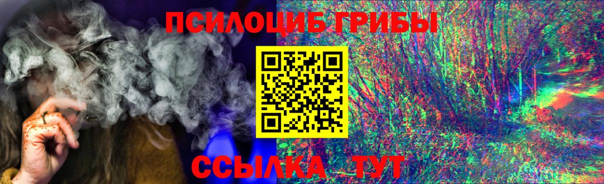 Галлюциногенные грибы Magic Shrooms Нововоронеж