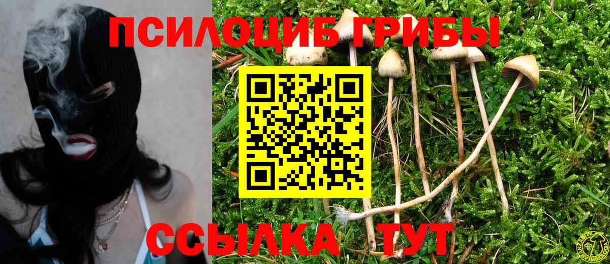Нововоронеж  Галлюциногенные грибы Psilocybine cubensis  магазин продажи   Вход с VPN 